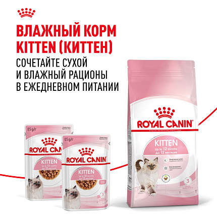 Сухой корм Royal Canin Kitten для котят до 12 месяцев 4 кг